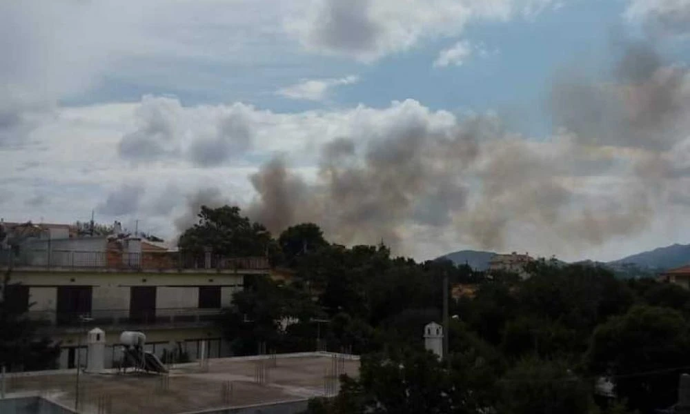Φωτιά ξέσπασε στην Σταμάτα - Καίει δασική έκταση